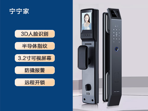 人脸识别锁R501