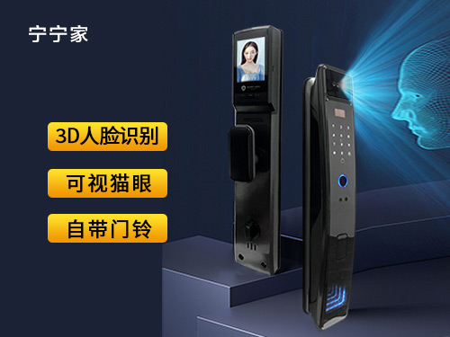 人脸识别锁R502