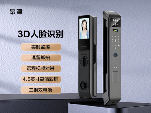 人脸识别锁R507