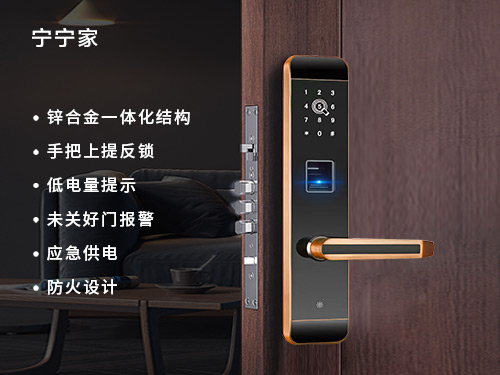指纹密码锁H300